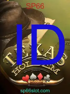 TexasHoldem